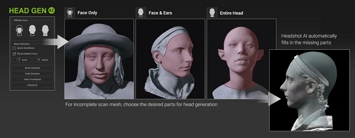 Generate a 3D head based on the effective area